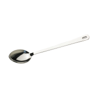 Stainless Steel Serving Spoon 10"