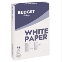 White A4 Printer and Copier Paper 80gsm (Pack 500)
