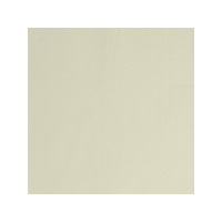 Lunch Napkin 2ply 33cm Champagne (Pack 125) [125/16]