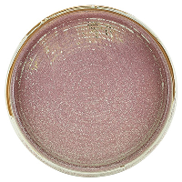 Genware Terra Porcelain Rose Presentation Plate 18cm