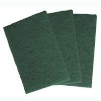 Professional Standard Grade Scouring Pad (Pack 10)