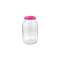 Sarina Glass Storage Jar with Plastic Screw Top Lid 5 Litre