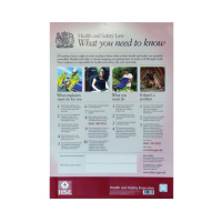Health Safety at Work Poster 620 x 445mm
