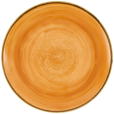 Churchill Stonecast Tangerine Evolve Coupe Plate 10.25" (Pack 12)
