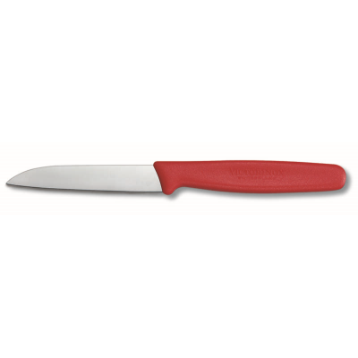 Victorinox Polypropylene Paring Knife with Straight Blade in Red 8cm