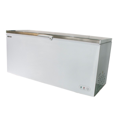 Blizzard CF650SS Stainless Steel Lid Chest Freezer (650 Litres)