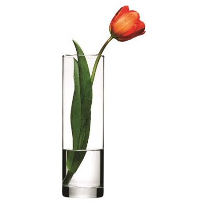 Botanica Glass Cylinder Vase 27cm