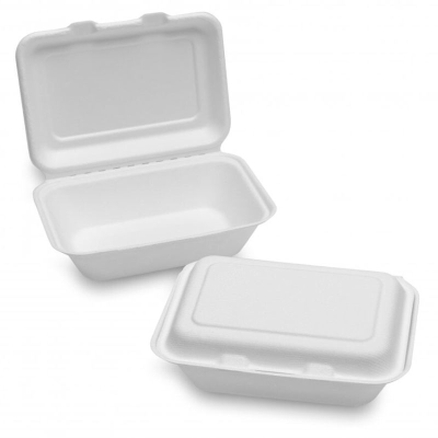 Bagasse White Lunch Box (232x155x78mm/9x6") TT10 (Pack 125)