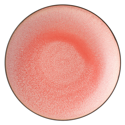 Coral Plate 10.5" (27cm) (Pack 6)