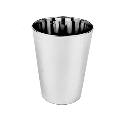 Disposable Plastic Glass Silver 300ml (Pack 6)