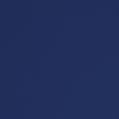Dinner Napkin 2ply 40cm Navy Blue (Pack 125) [125/16]