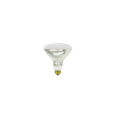 Baselite 250w Hard Glass Lamp Bulb