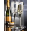 Lucent Ascot Polycarbonate Champagne Flute 8.75oz (26cl) (Pack 6)