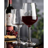 Lucent Newbury Polycarbonate Wine Glass 16oz (45cl) (Pack 6)