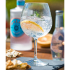 Eden Polycarbonate Gin Glass 24oz (68cl) (Pack 12)