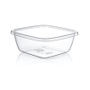 Hobby Square Clear Basin 3.5 Litre
