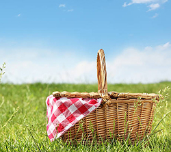National Picnic Week