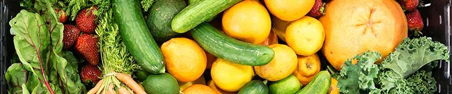 Close up of different vegetables