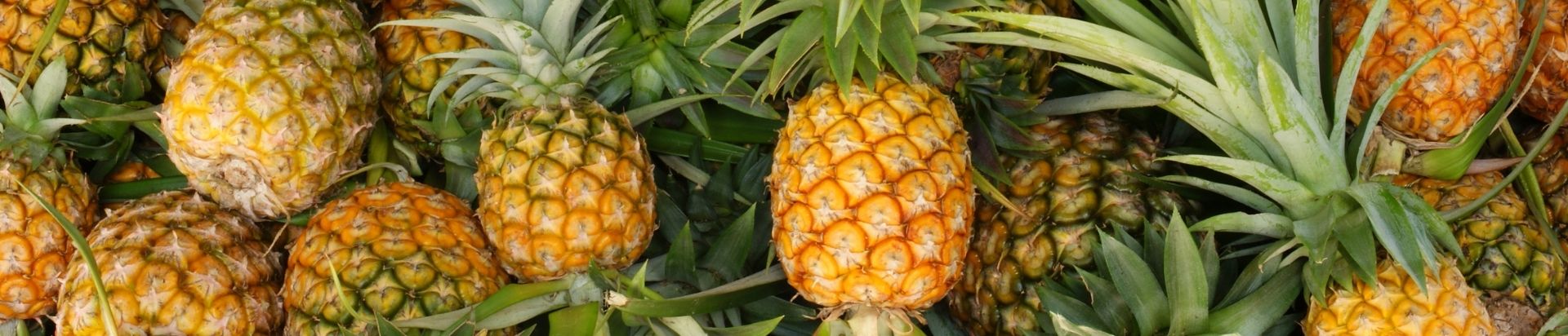 A pile of pineapples