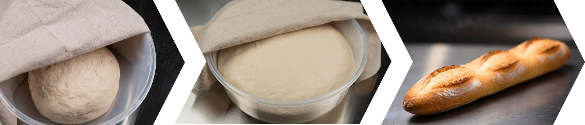 Bread dough, risen bread dough, and baked bread