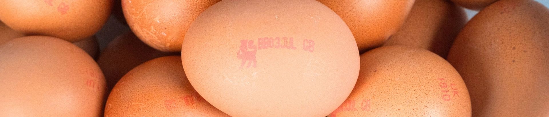 Close up of British Eggs