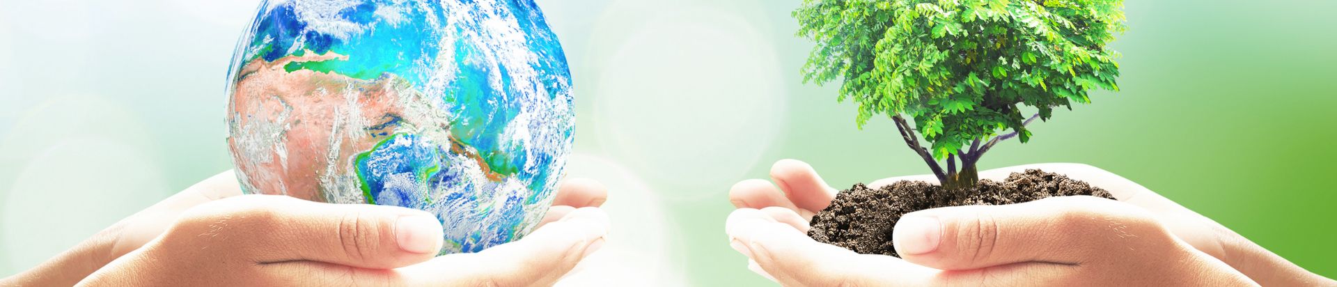 hands holding the earth and a tree