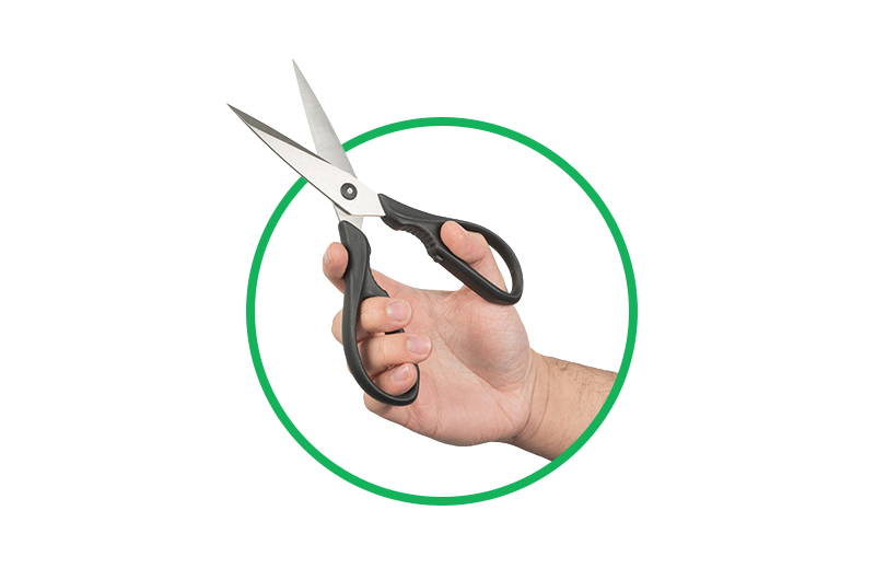 Scissors & Shears