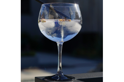 Gin Glasses
