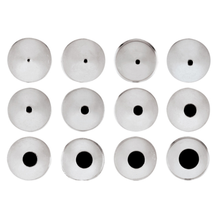 Assorted Stainless Steel set of 12 Decorating Piping Nozzles