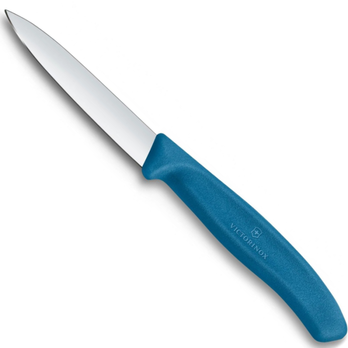 Victorinox Polypropylene Paring Knife with Straight Blade in Blue 8cm