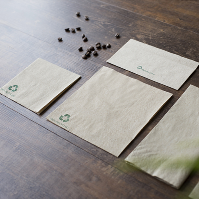 Dinner Napkin 2ply Recycled 40cm 8 Fold (Pack 100) [100/20]