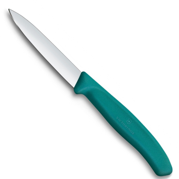 Victorinox Polypropylene Paring Knife with Straight Blade in Green 8cm