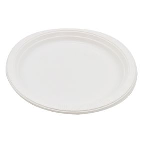 Reusable Plastic Plates White 9" (Pack 100)