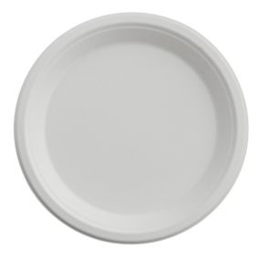 Bagasse White Round Plate (254mm/10") TP4 (Pack 50)