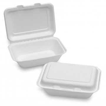 Bagasse White Lunch Box (232x155x78mm/9x6&quot;) TT10 (Pack50)