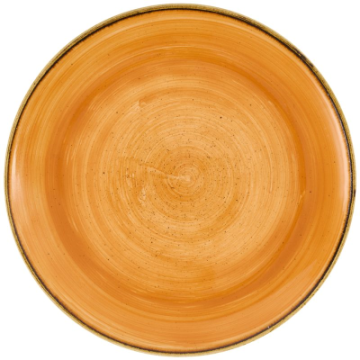 Churchill Stonecast Tangerine Evolve Coupe Plate 10.25&quot;