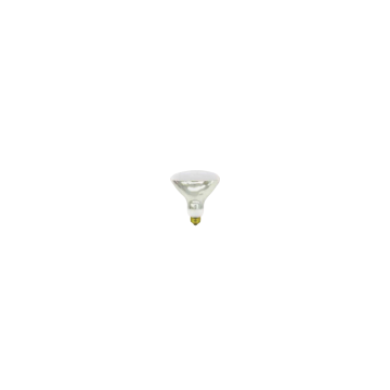Baselite 250w Hard Glass Lamp Bulb