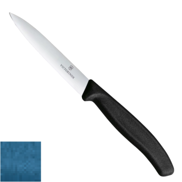 Victorinox Polypropylene Paring Knife with Pointed Tip in Blue 10cm