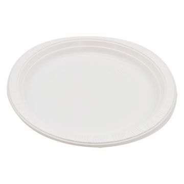 Reusable Plastic Plates White 9&quot; (Pack 100)