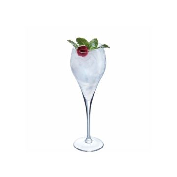 Arcoroc Brio Flute 16cl / 5.5oz (Pack 24)