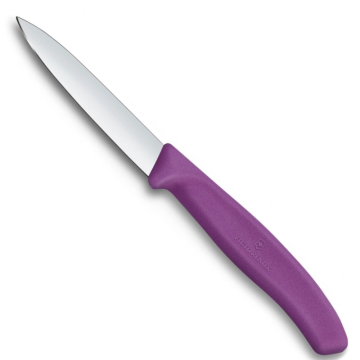 Victorinox Polypropylene Paring Knife with Straight Blade in Purple 8cm