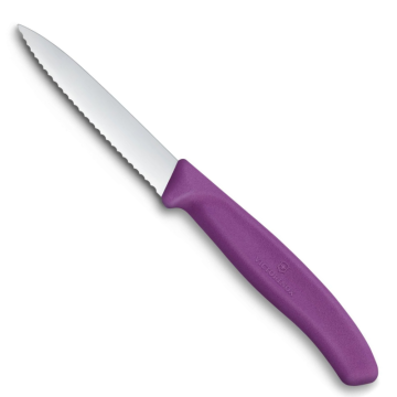 Victorinox Polypropylene Paring Knife with Pointed Tip Serrated Edge in Purple 8cm