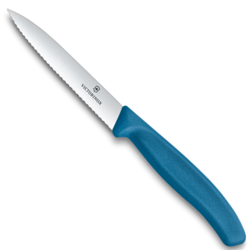 Victorinox Polypropylene Paring Knife with Pointed Tip Serrated Edge in Blue 10cm