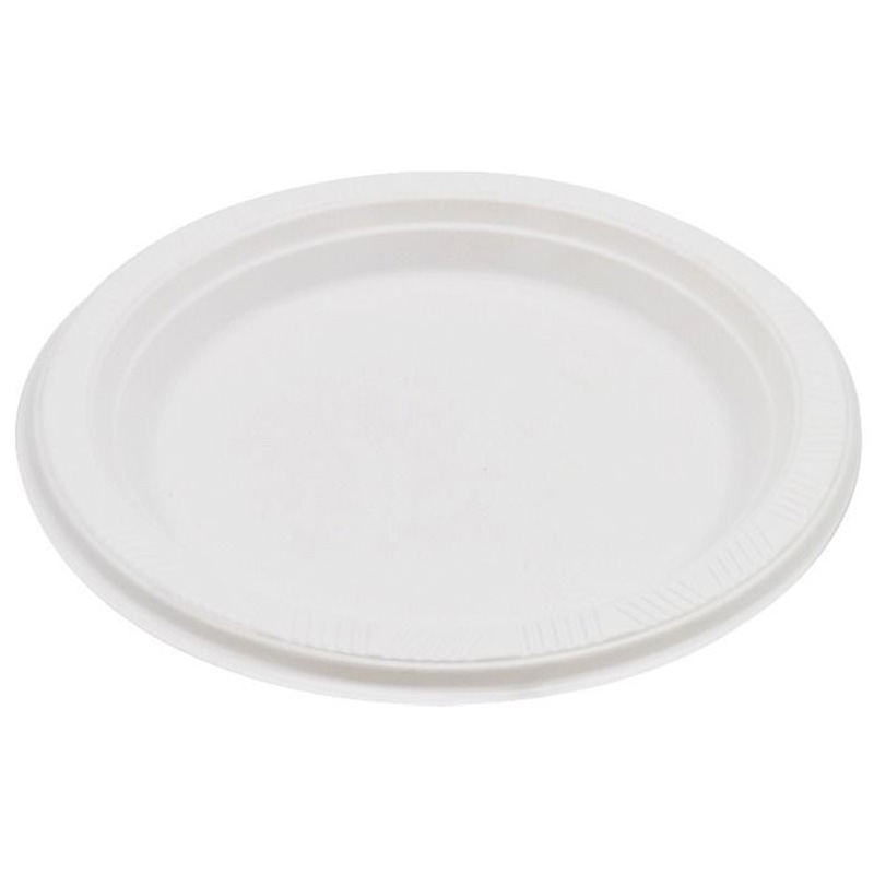Plain image of a plastic plate