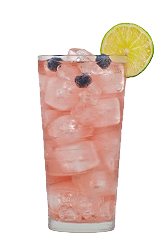 Energizing Blueberry Mocktail Energizing Blueberry Mocktail