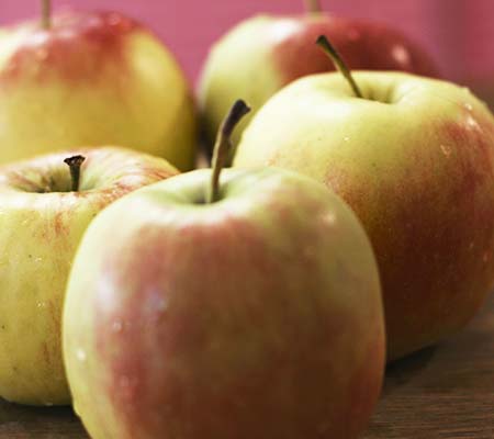 Close up of apples Close up of apples
