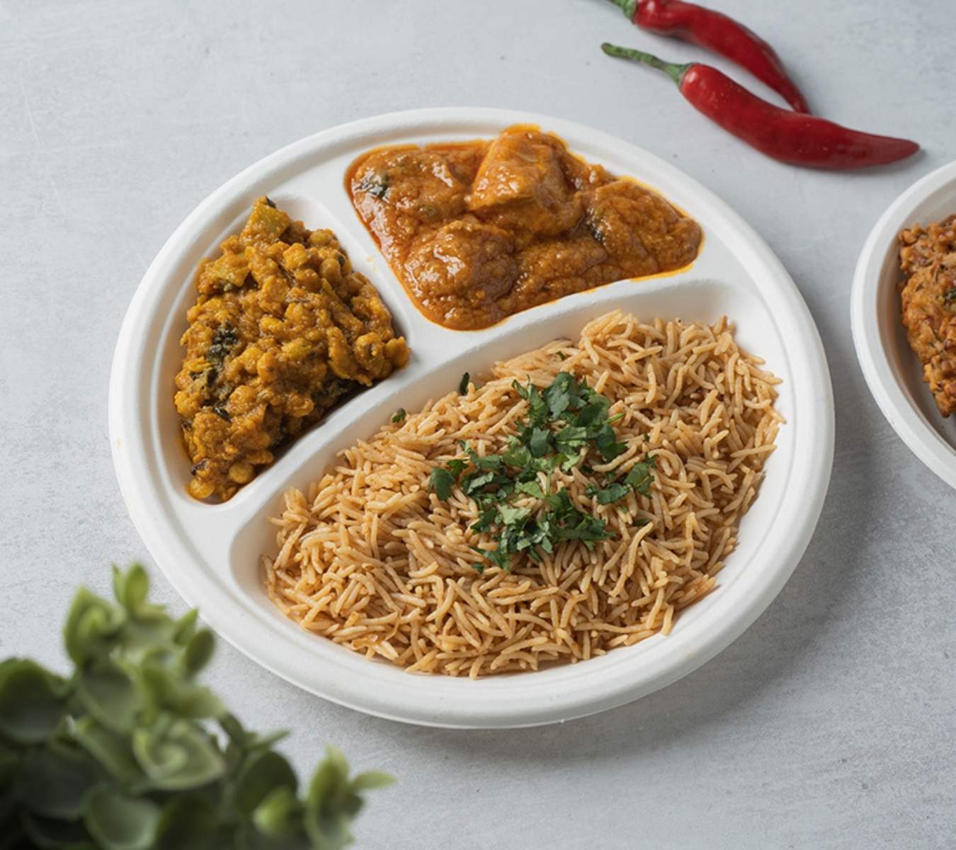 Bagasse plate with curry and rice