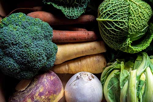 Selection of different vegetables