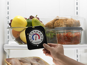 Kitchen Thermometers 