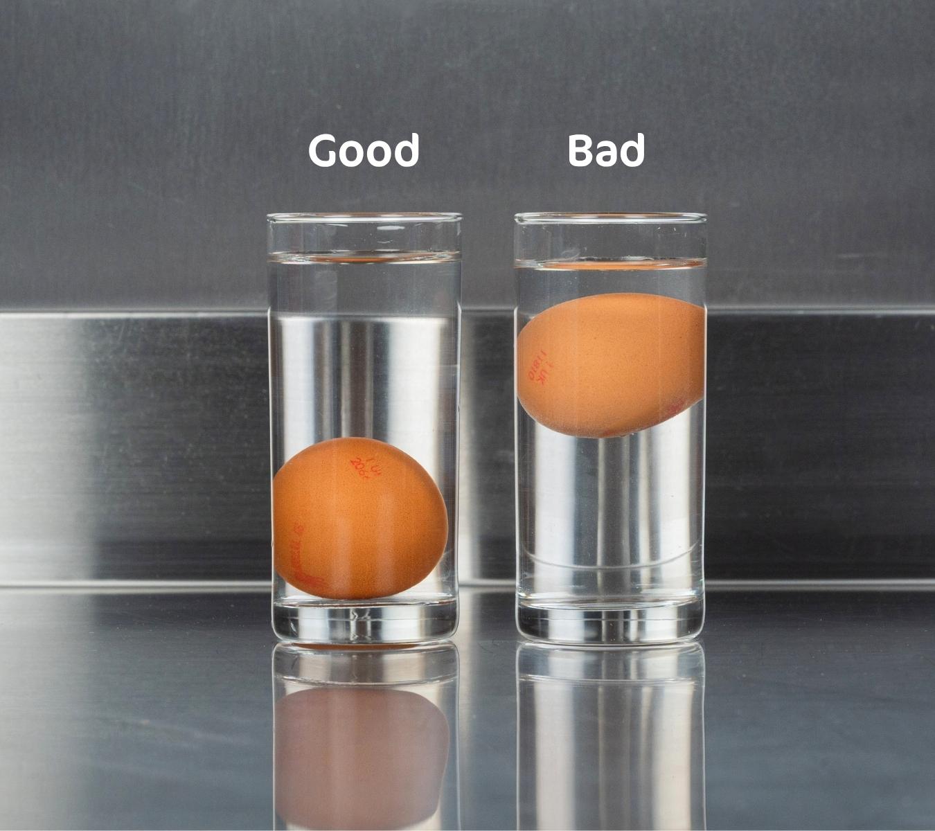 A good egg sinking, and a bad egg floating in a glass of water